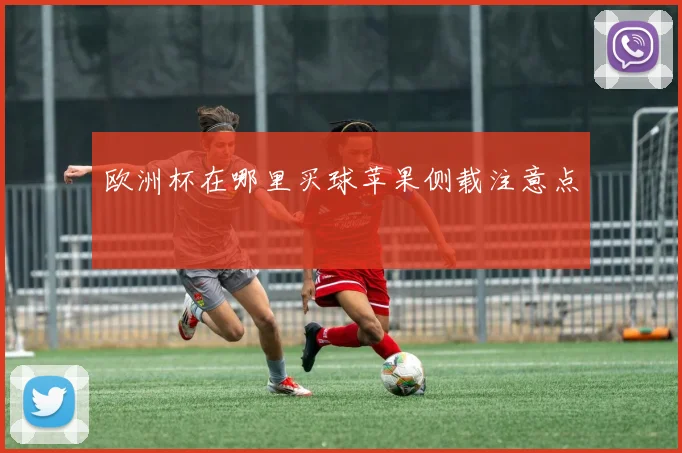 欧洲杯在哪里买球苹果侧载注意点