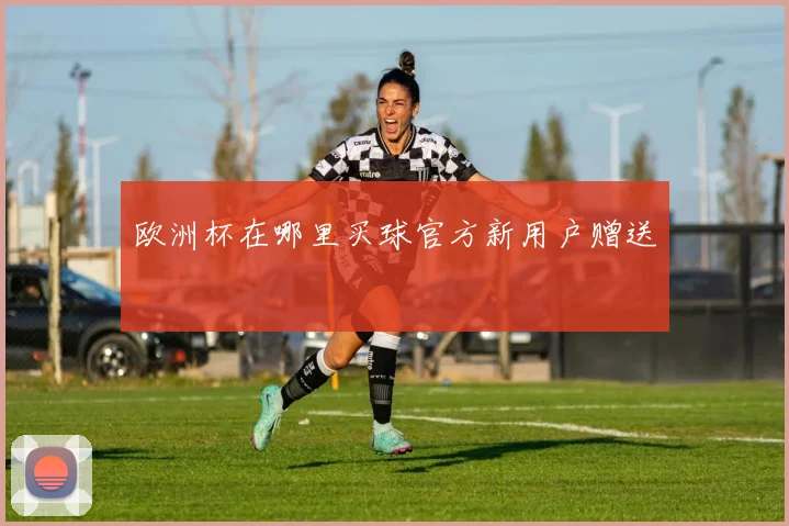 欧洲杯在哪里买球官方新用户赠送