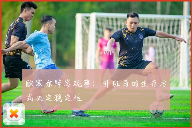 欧塞尔阵容观察：升班马的生存方式决定稳定性