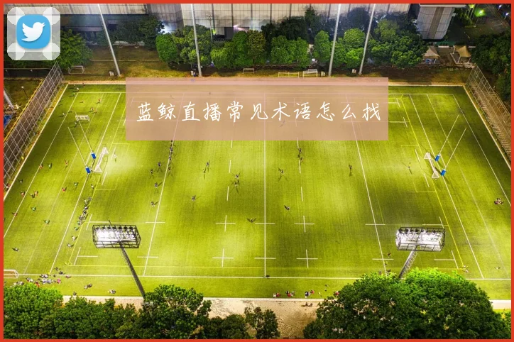 蓝鲸直播常见术语怎么找